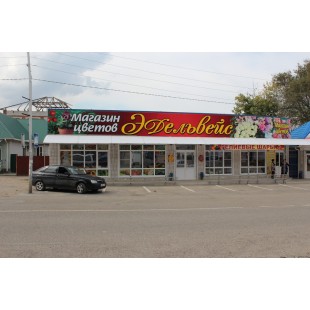 Буквы из пвх