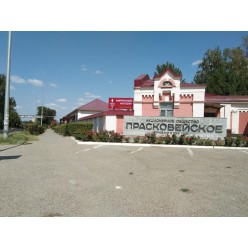 Вывеска объемная световая